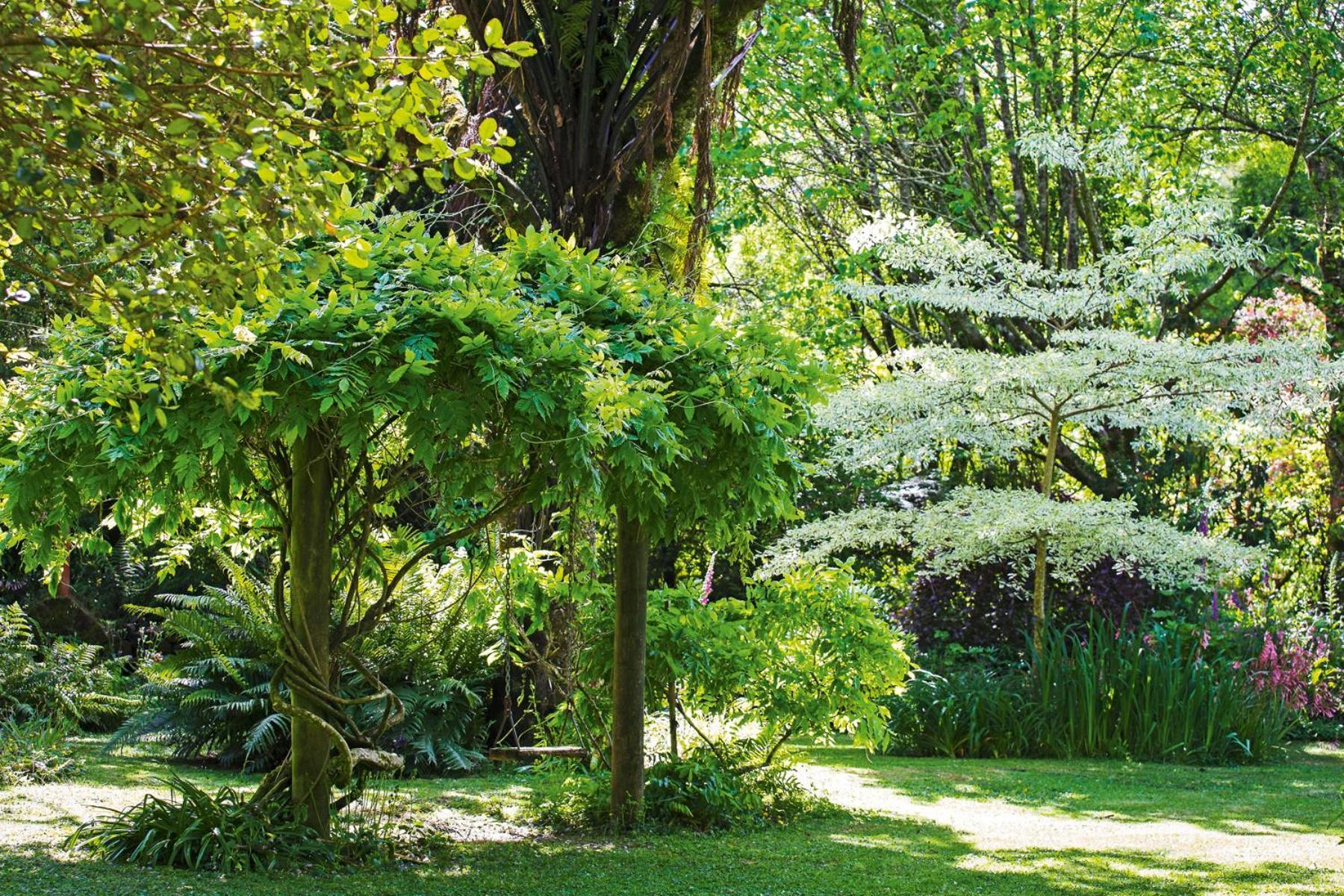 Tepopo Gardens Rural Retreat Vila Stratford Exterior foto