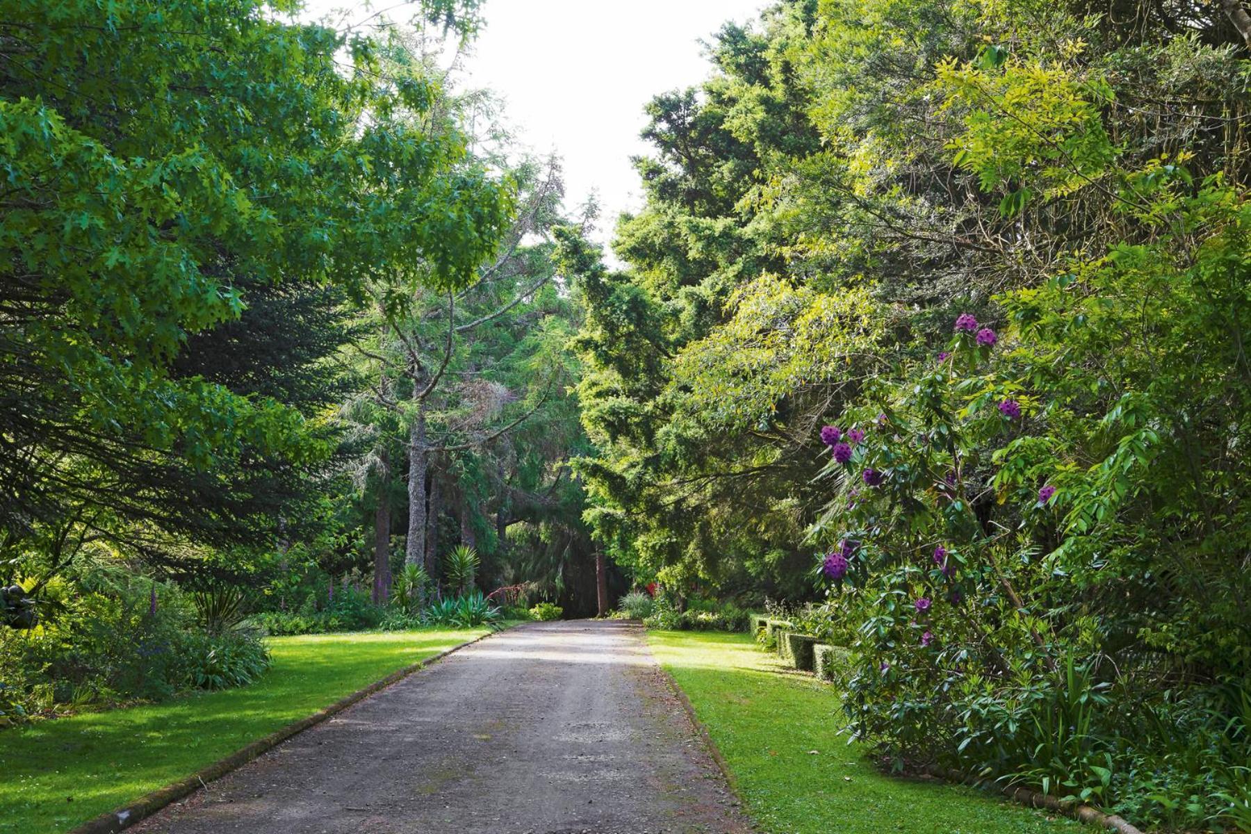 Tepopo Gardens Rural Retreat Vila Stratford Exterior foto