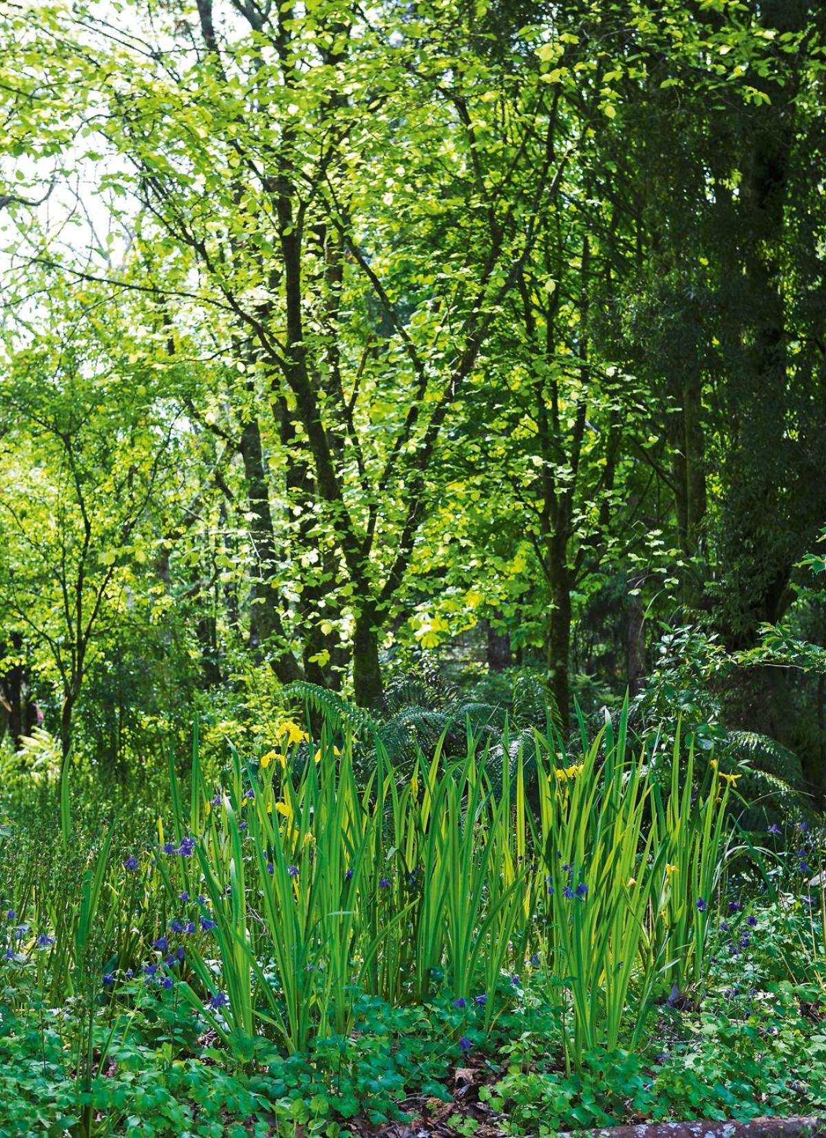 Tepopo Gardens Rural Retreat Vila Stratford Exterior foto
